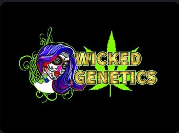 Wicked Genetics